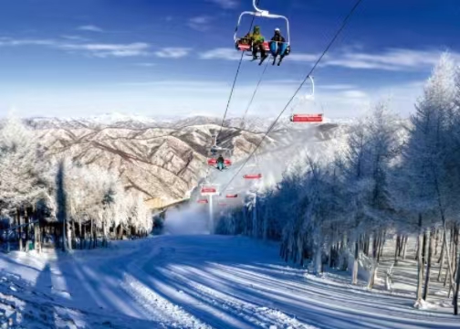 國務院辦公廳印發(fā)《關于進一步培育新增長點繁榮文化和旅游消費的若干措施》<br>提出“啟動實施冰雪旅游提升計劃”